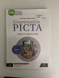 Grammatica picta