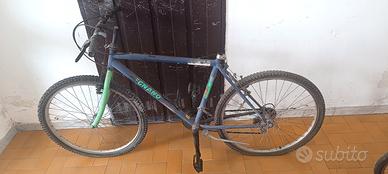 mountain bike bianchi