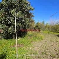 Terreno, Capo d'Orlando.