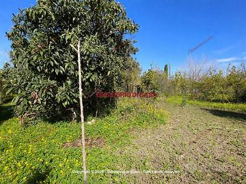 Terreno, Capo d'Orlando.