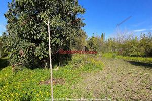 Terreno, Capo d'Orlando.