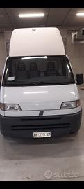 Diucato 2500cc