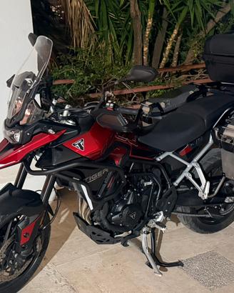 Triumph Tiger 900 GT