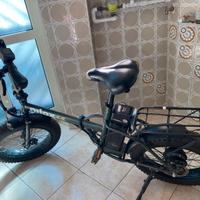 Bici elettrica