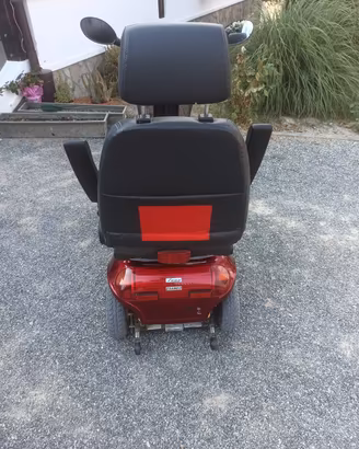 deambulatore elettrico