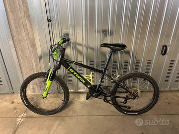 bici bambino e adulto