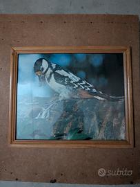 Cornici porta fotografie in legno