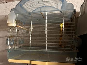 gabbia uccellini