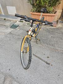 bicicletta uomo 