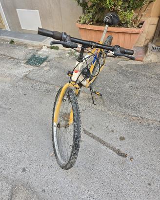 bicicletta uomo 