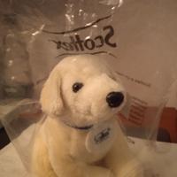 Peluche originale Scottex cuccilo di cane Labrador