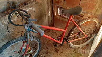 Bici bicicletta