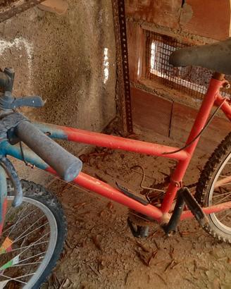 Bici bicicletta