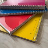 Quaderno/quadernone ad anelli a righe e scacchi