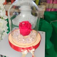 Campana in vetro con Rosa vera stabilizzata 