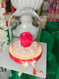 Campana in vetro con Rosa vera stabilizzata 