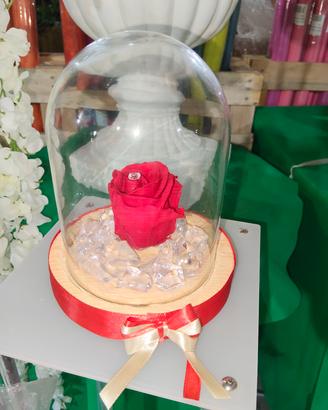 Campana in vetro con Rosa vera stabilizzata 