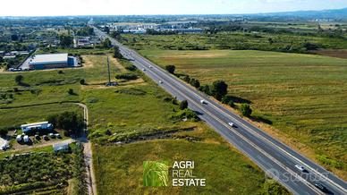 Aprilia (LT) - Terreno 5000mq fr. Pontina | TR408