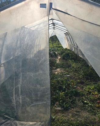 tunnel marca  baukit per giardino