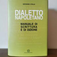 Dialetto napoletano. Manuale di scrittura 