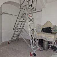 scala faraone profesisonale