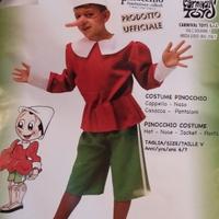 Vestito di carnevale bambino Pinocchio
