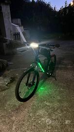 bici elettrica 