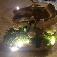 Presepi e fuori porta a partire da 10€