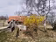Immagine 13