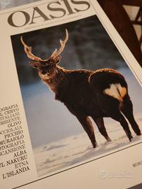 raccolta oasis 1985