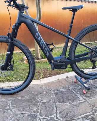 Grand Canyon on 8  Bosch Gen 5 (100Nm)