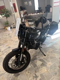 Ducati scrambler  800night schift anno 2025 km 250