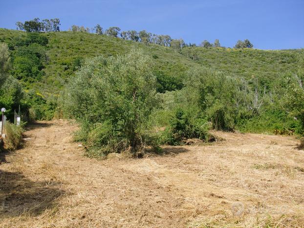 Terreno Residenziale Torre Orsaia