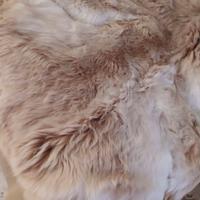 coperta matrimoniale in pelliccia di guanaco