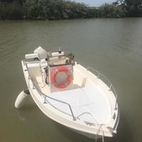 Barca con Mercury 40 CV e carrello