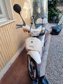Piaggio free business 50
