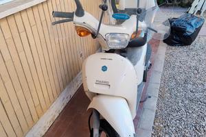 Piaggio free business 50