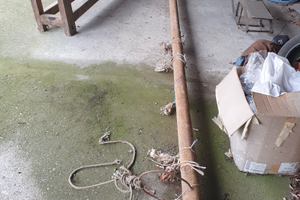 Cocle 6 metri senza motore