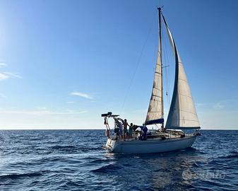 Jeanneau Attalia 32 - Barca pronta a navigare