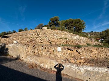 Terreno in zona soleggiata