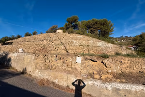 Terreno in zona soleggiata