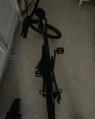 Bicicletta