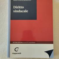 Libro" Diritto sindacale " 7°edizione Ballestrero