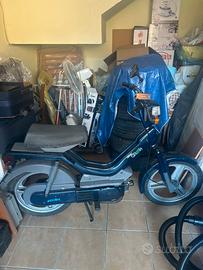 Atala green 50