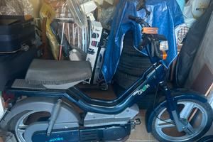 Atala green 50