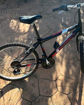 Bicicletta