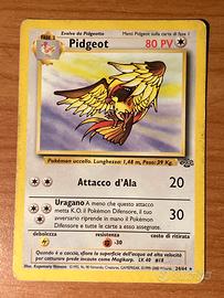 Pidgeot edizone Jungle
