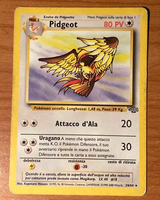 Pidgeot edizone Jungle