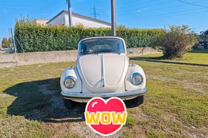 Volkswagen Maggiolino