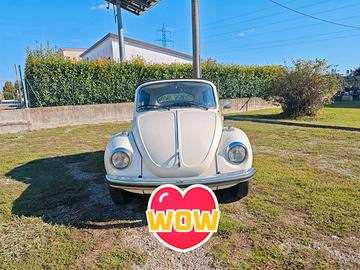 Volkswagen Maggiolino
